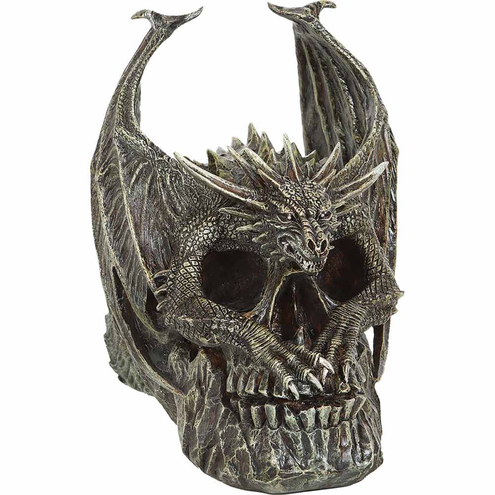 Spiral - Draco Skull Beeld/figuur - Zwart